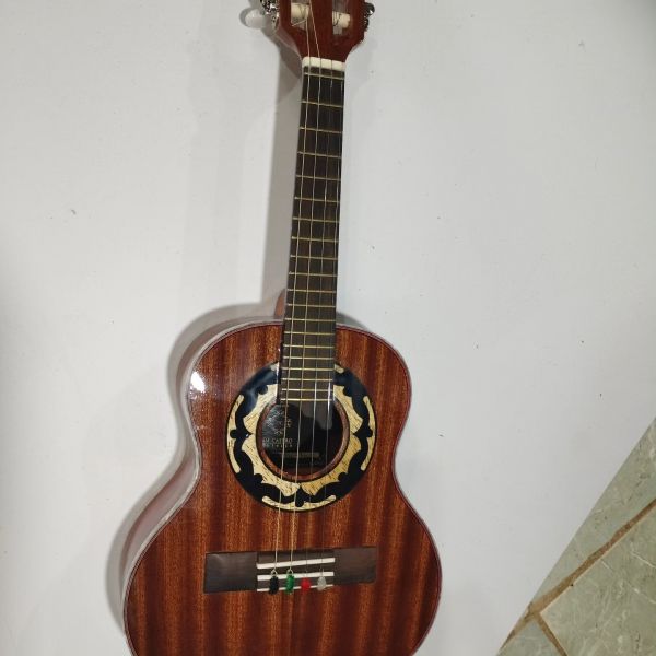 cavaco De Castro luthier em pau brasil