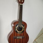 cavaco De Castro luthier em pau brasil